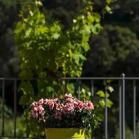 Campagna De Mercedes Semesterbostad Alghero